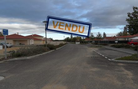 LES PIVOINES Impact immobilier 01