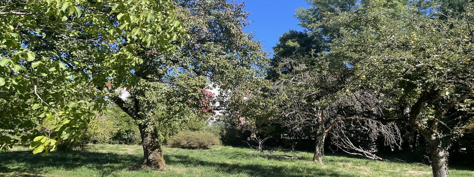 LE DOMAINE DE L'OUDAR - Visuel 2 - Impact immobilier 01